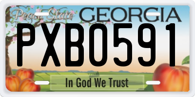 GA license plate PXB0591