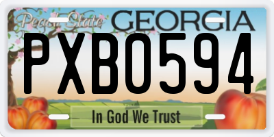 GA license plate PXB0594