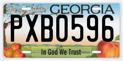 GA license plate PXB0596