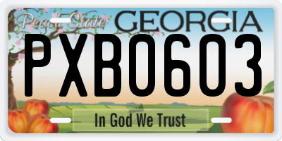 GA license plate PXB0603