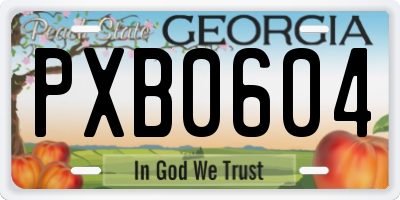 GA license plate PXB0604