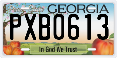 GA license plate PXB0613