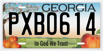 GA license plate PXB0614