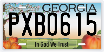 GA license plate PXB0615