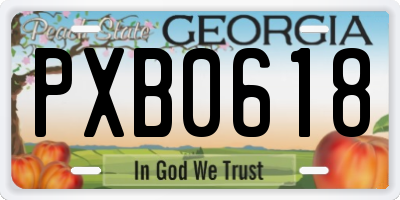 GA license plate PXB0618