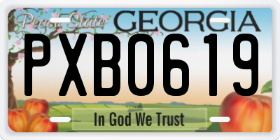GA license plate PXB0619