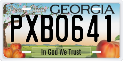 GA license plate PXB0641