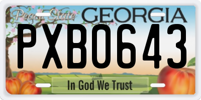 GA license plate PXB0643