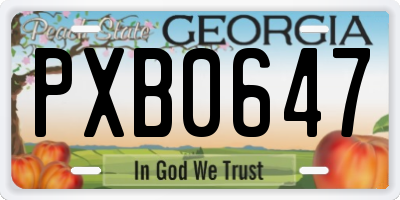 GA license plate PXB0647