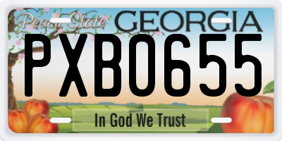 GA license plate PXB0655