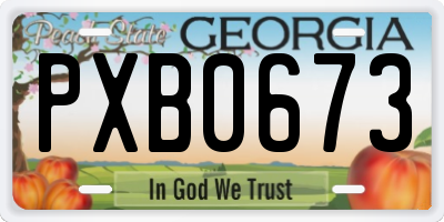 GA license plate PXB0673