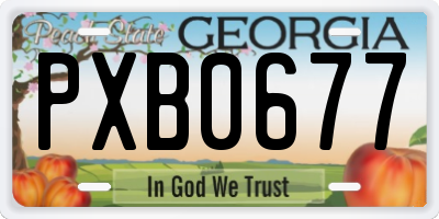 GA license plate PXB0677
