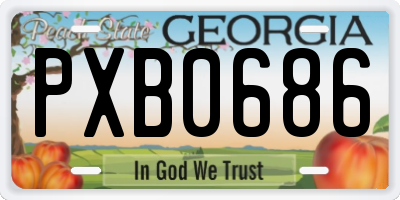 GA license plate PXB0686