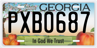 GA license plate PXB0687