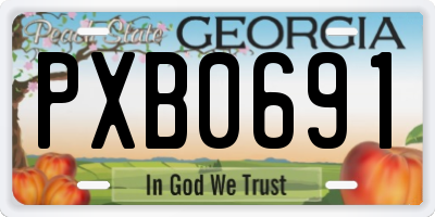 GA license plate PXB0691