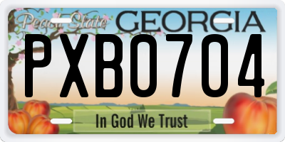 GA license plate PXB0704
