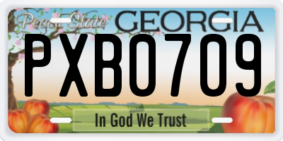 GA license plate PXB0709