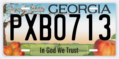 GA license plate PXB0713
