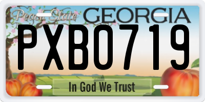 GA license plate PXB0719