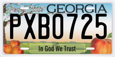 GA license plate PXB0725