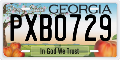GA license plate PXB0729