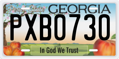 GA license plate PXB0730