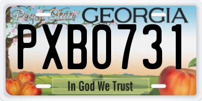 GA license plate PXB0731