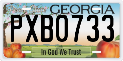 GA license plate PXB0733