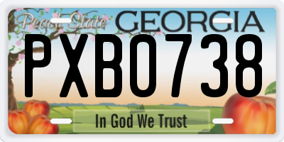 GA license plate PXB0738