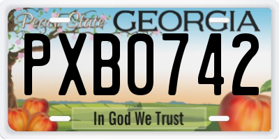 GA license plate PXB0742