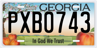 GA license plate PXB0743