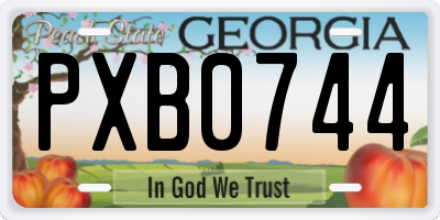 GA license plate PXB0744
