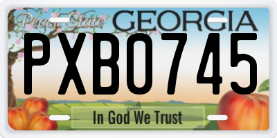 GA license plate PXB0745