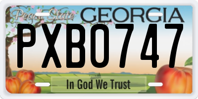 GA license plate PXB0747