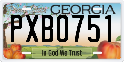 GA license plate PXB0751