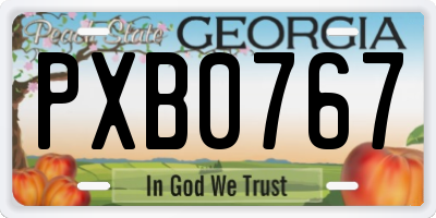 GA license plate PXB0767