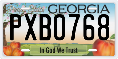 GA license plate PXB0768