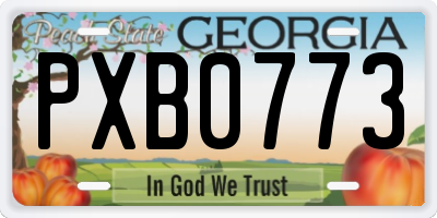 GA license plate PXB0773