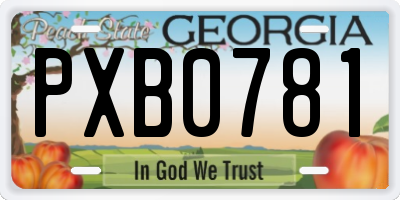 GA license plate PXB0781