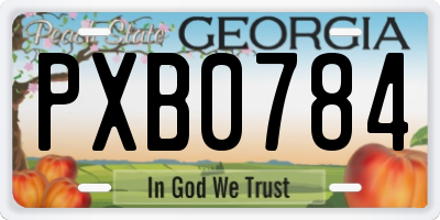 GA license plate PXB0784