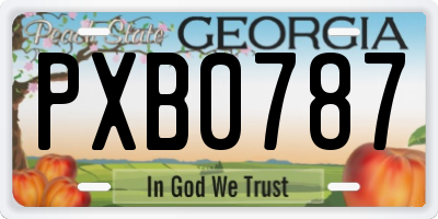 GA license plate PXB0787