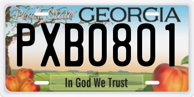GA license plate PXB0801