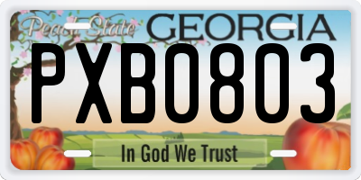 GA license plate PXB0803