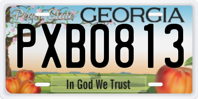 GA license plate PXB0813