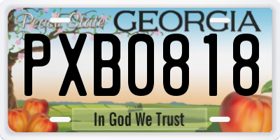 GA license plate PXB0818