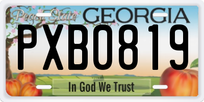 GA license plate PXB0819