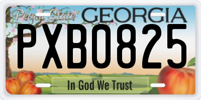 GA license plate PXB0825