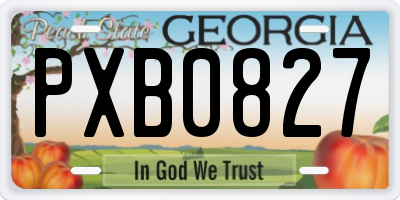 GA license plate PXB0827