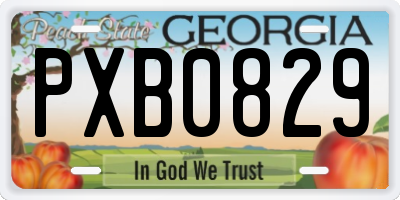 GA license plate PXB0829