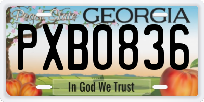GA license plate PXB0836
